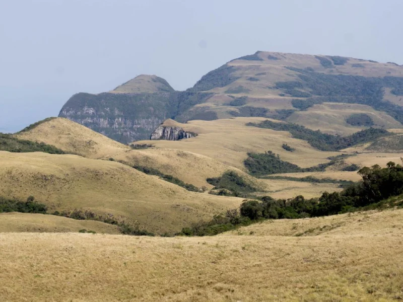 Campo dos Padres (1)